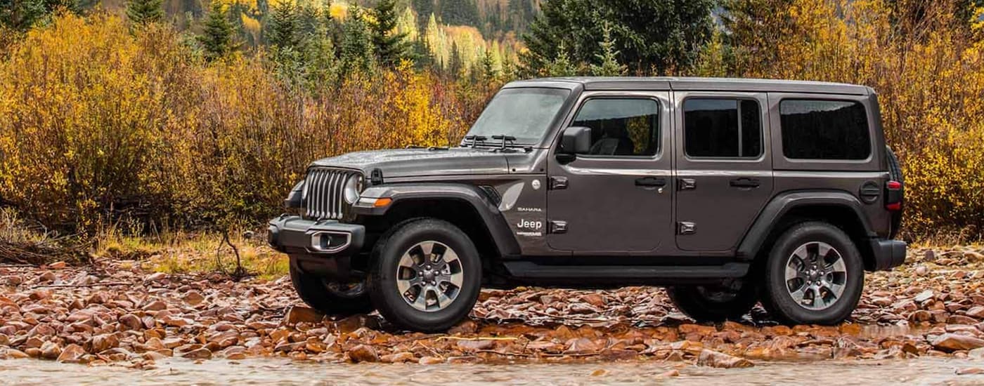A grey 2021 Jeep Wrangler is shown from the side parked in the woods.